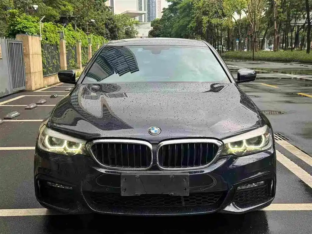 BMW 5 Series 2017 — фото 3