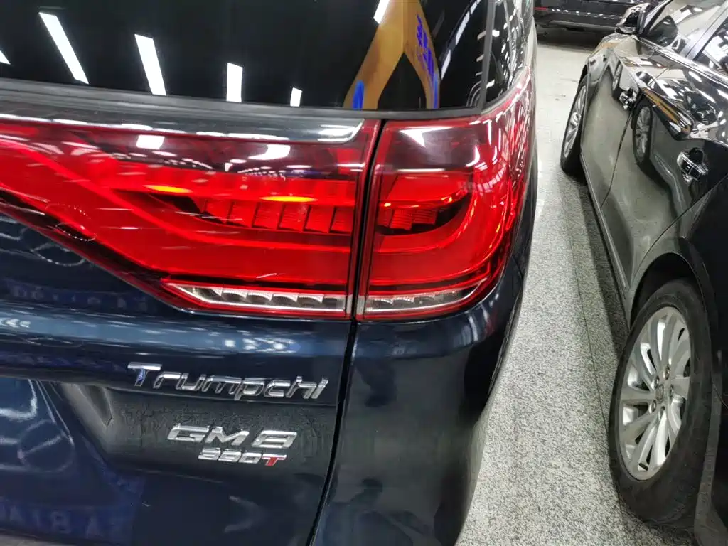 GAC Motor Trumpchi M8 2020 — фото 24