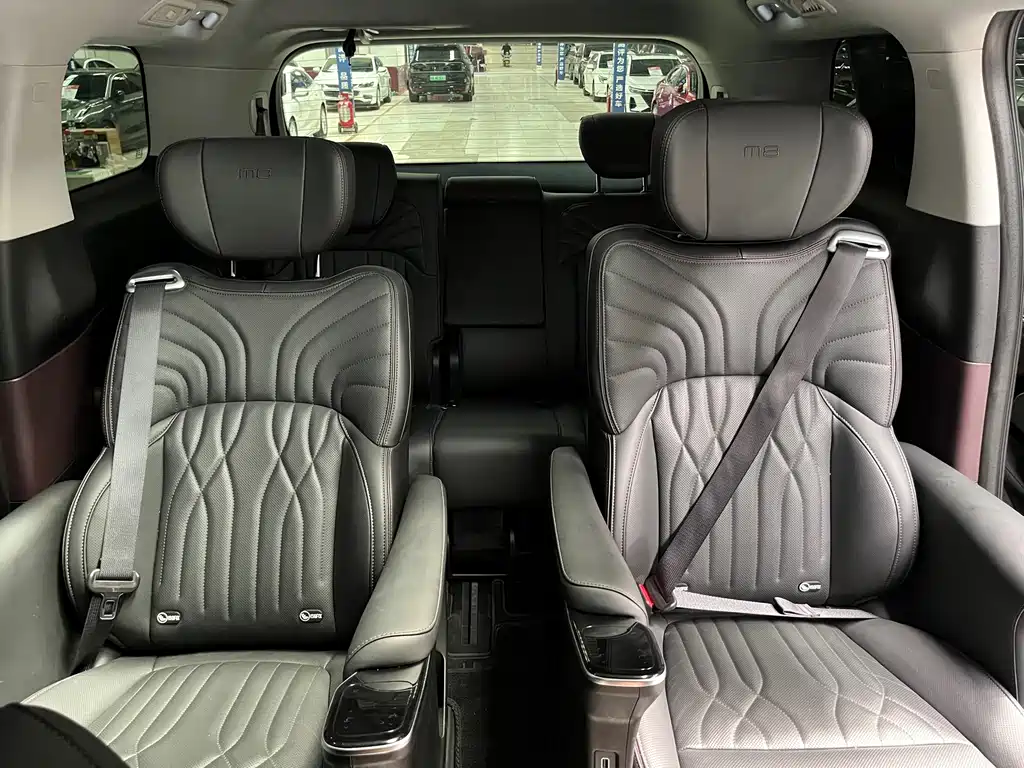 GAC Trumpchi M8 2024 — фото 13