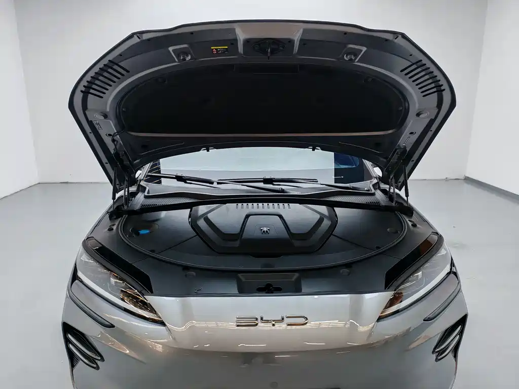 BYD PLUS New Energy 2024 — фото 17