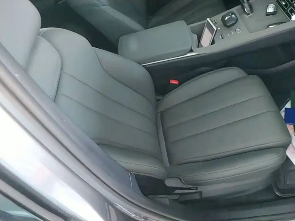 BYD Song Pro New Energy 2025 — фото 25