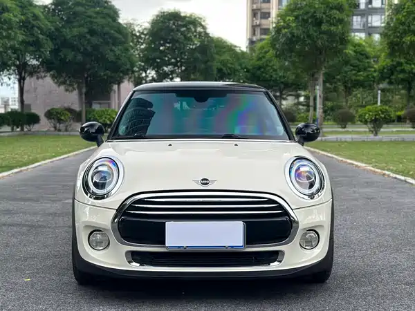MINI 2019