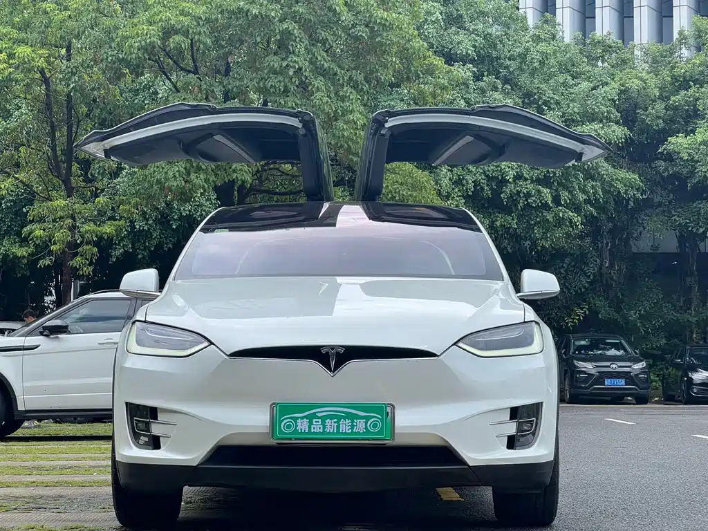 Tesla Model X 2018 — фото 9
