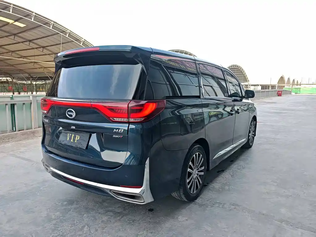 GAC Motor Trumpchi M8 2021 — фото 6