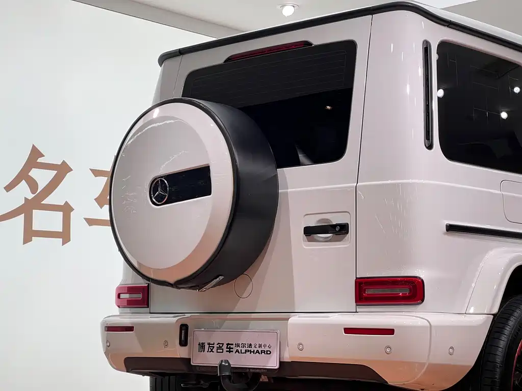 Mercedes-Benz G-Class 2019 — фото 14