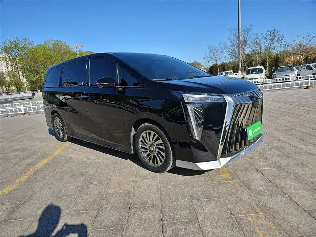 GAC Motor Trumpchi M8 2023 — фото 25