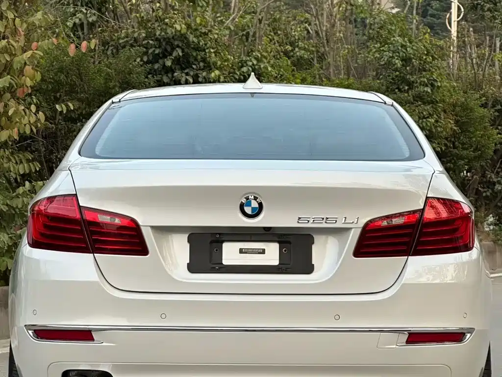 BMW 5 Series 2014 — фото 9