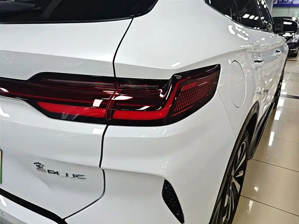 BYD PLUS New Energy 2023 — фото 8