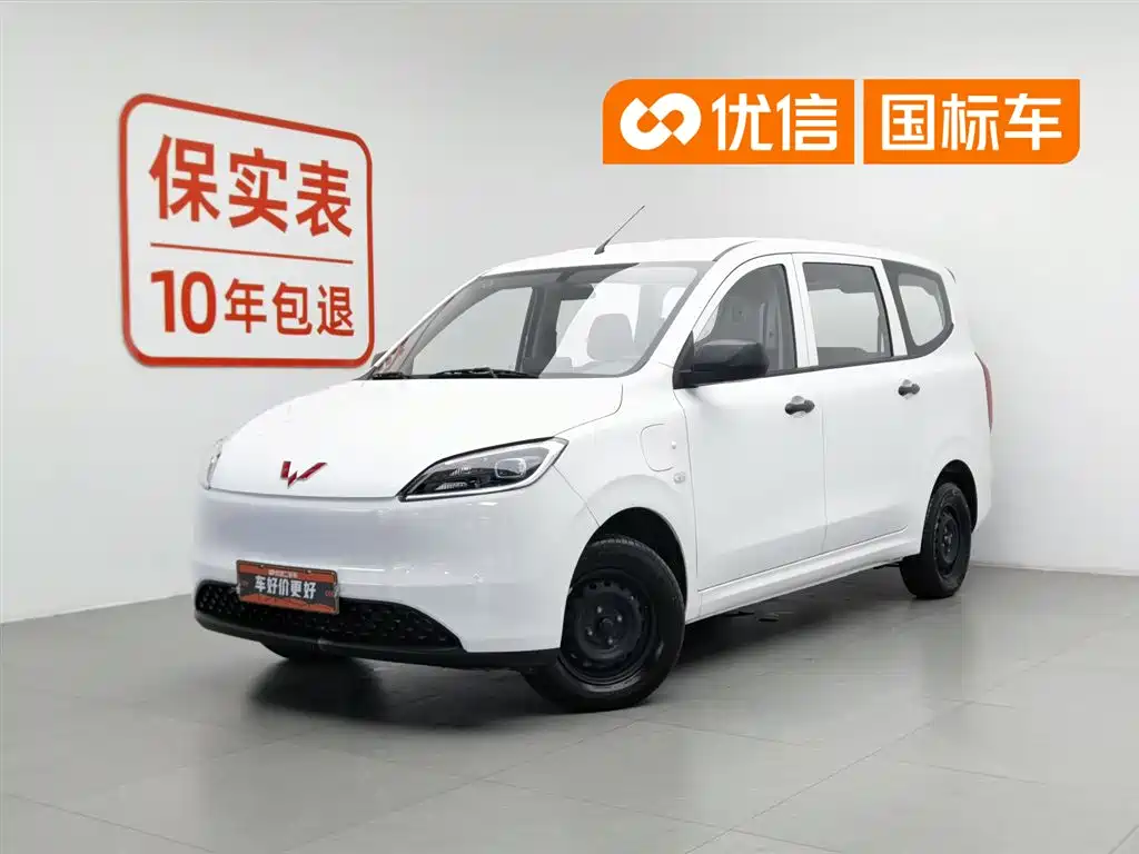 Wuling Hongguang New Energy 2024