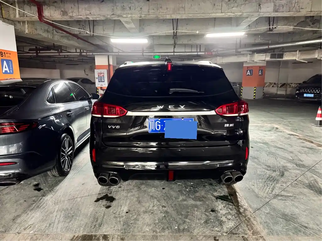 Wey VV6 2020