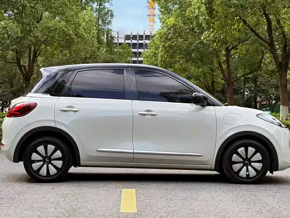 Wuling Bingo 2024