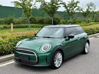 MINI MINI 2022