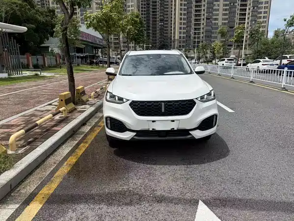 Wey VV6 2019