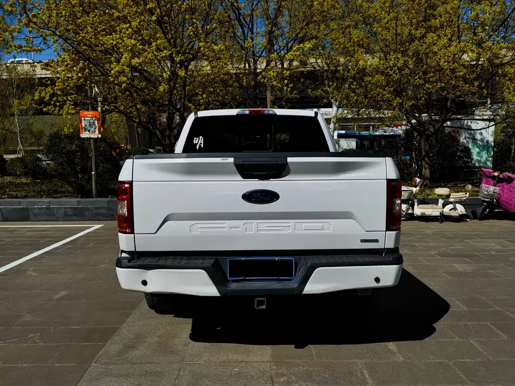 Ford F-150 Raptor 2020 — фото 4