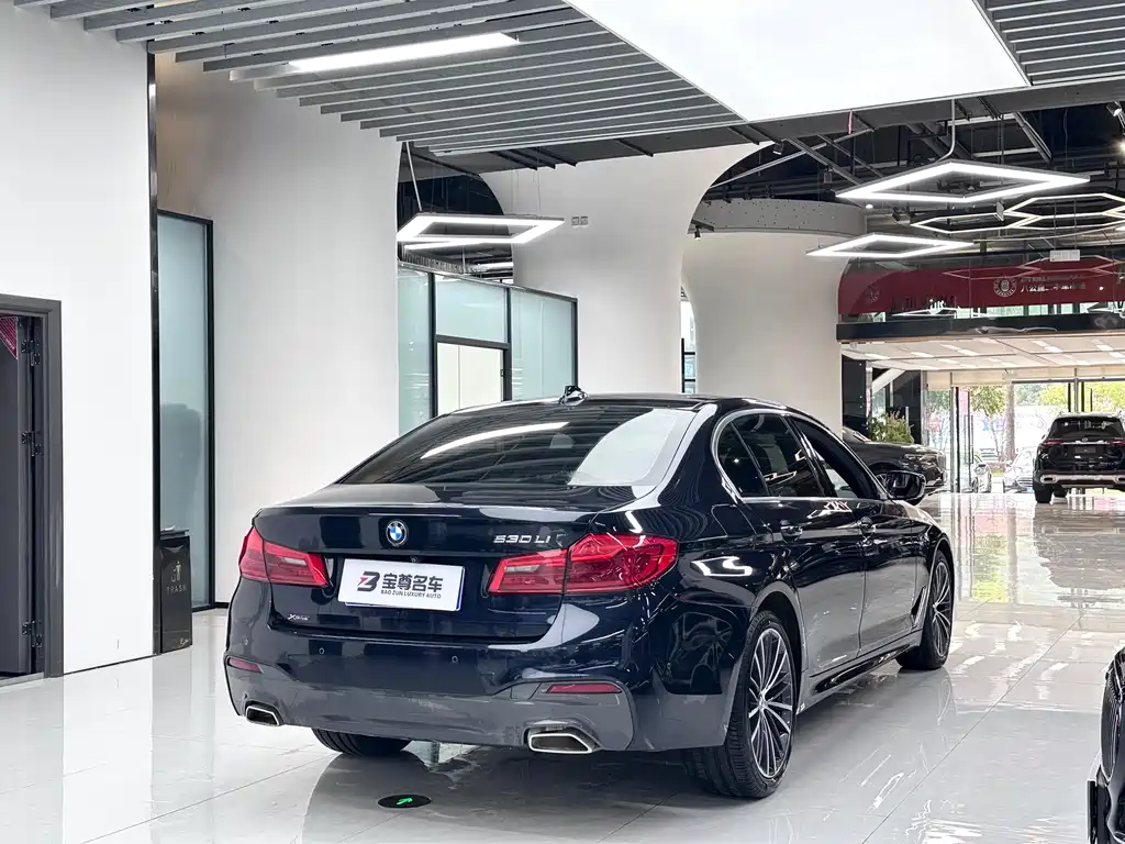 BMW 5 Series 2020 — фото 16