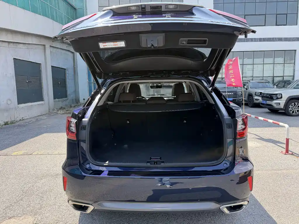 Lexus RX 2019 — фото 11