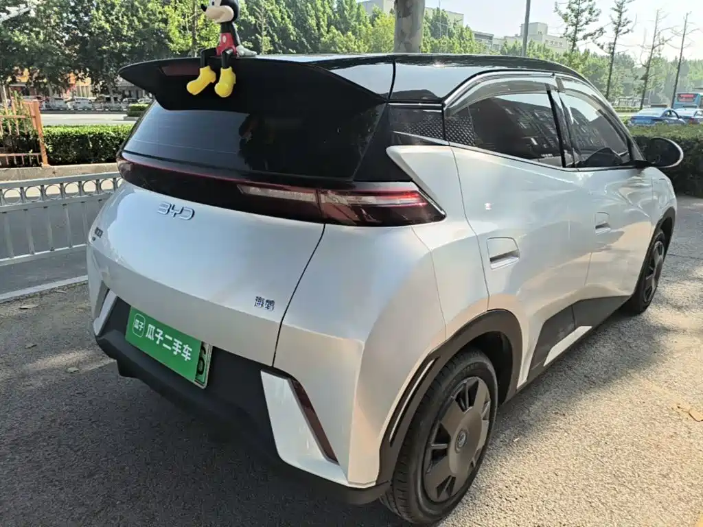 BYD Seagull 2024