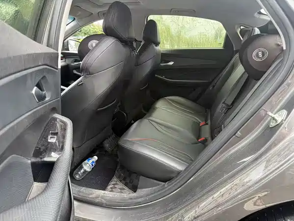Geely Binrui 2022