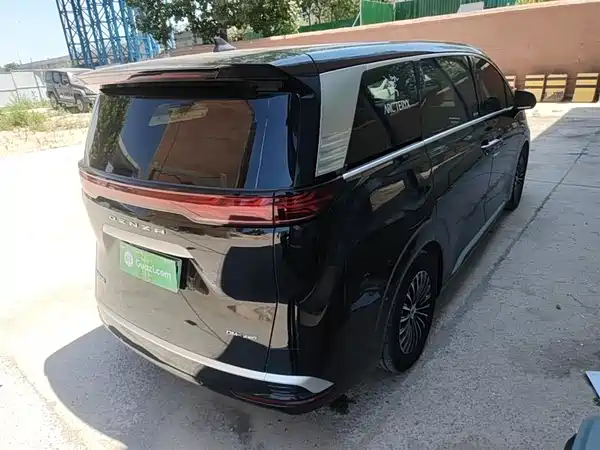 Denza D9 2024