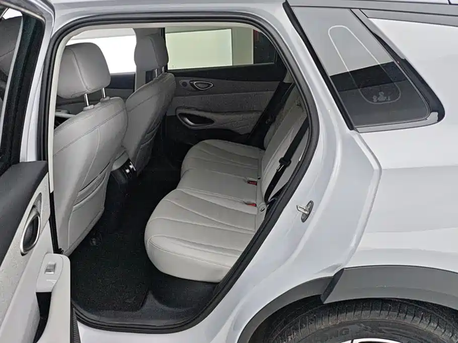 BYD Sealion 05 EV 2025 — фото 11