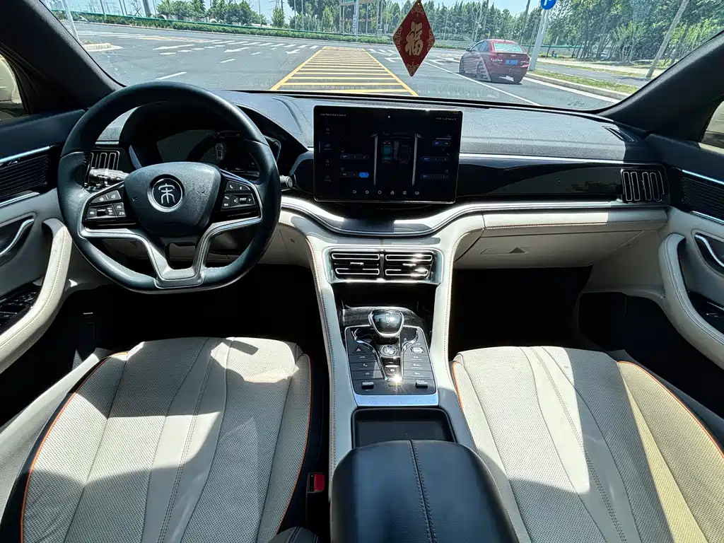 BYD PLUS New Energy 2023 — фото 13