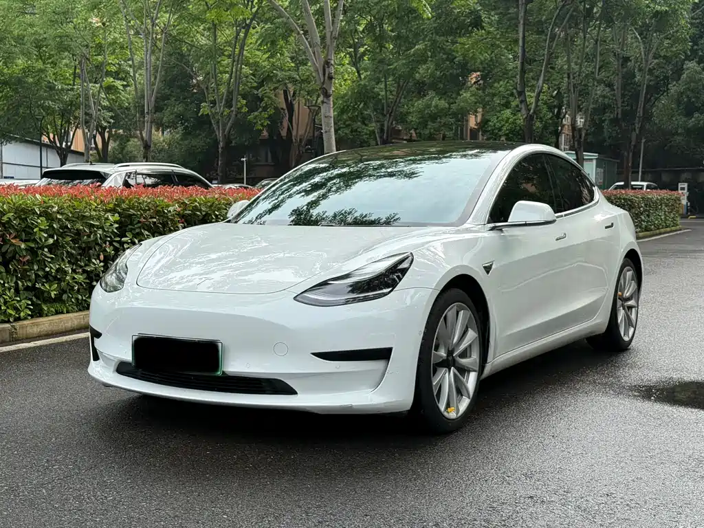 Tesla Model 3 2020 — фото 1