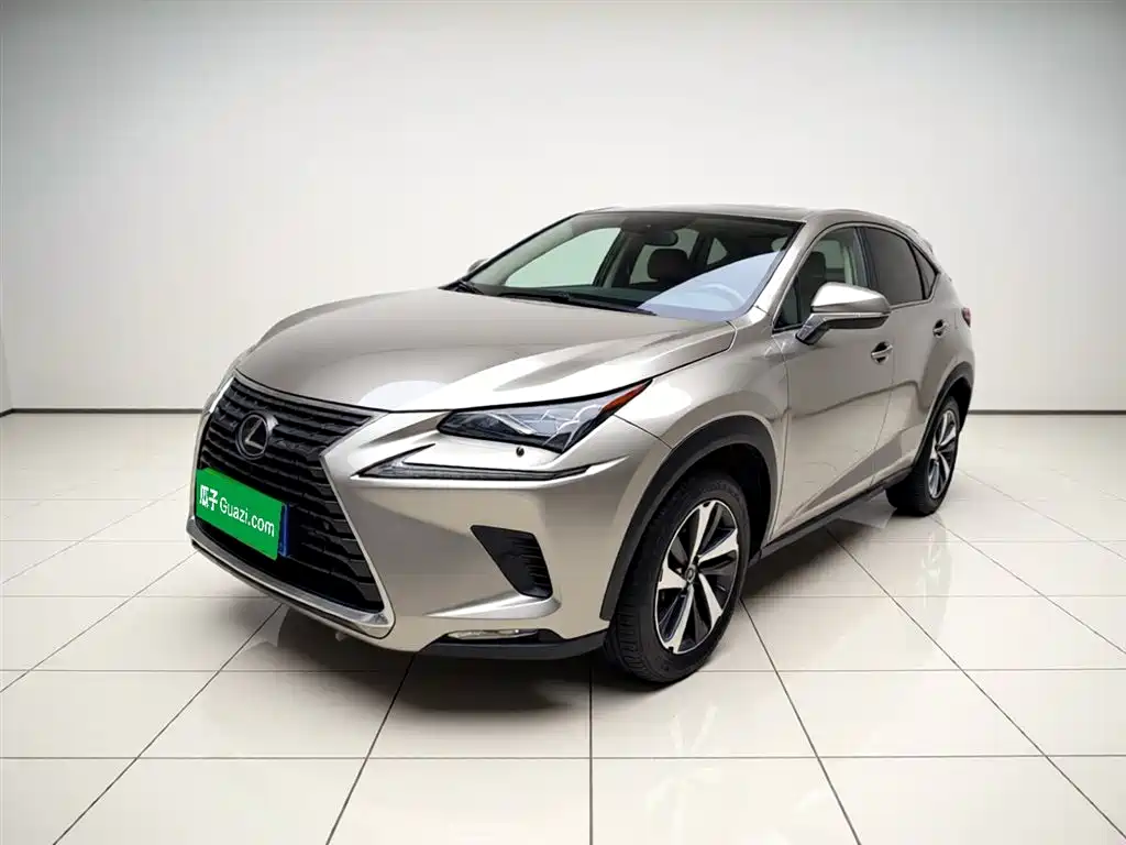 Lexus NX 2021 — фото 1