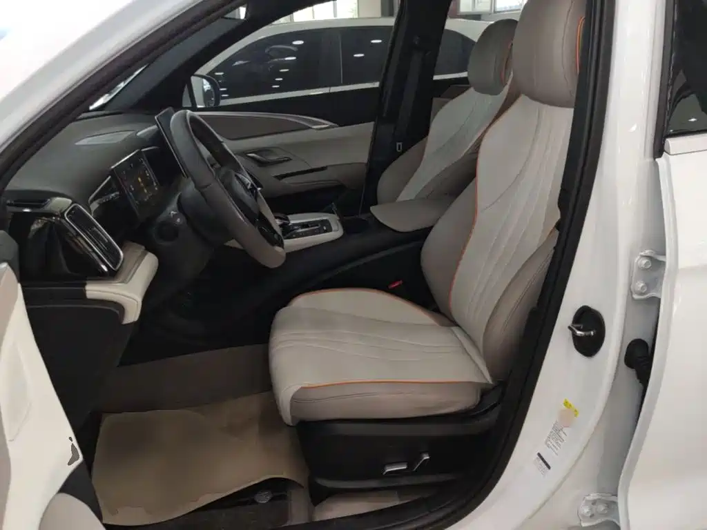 BYD Song Pro New Energy 2025 — фото 15