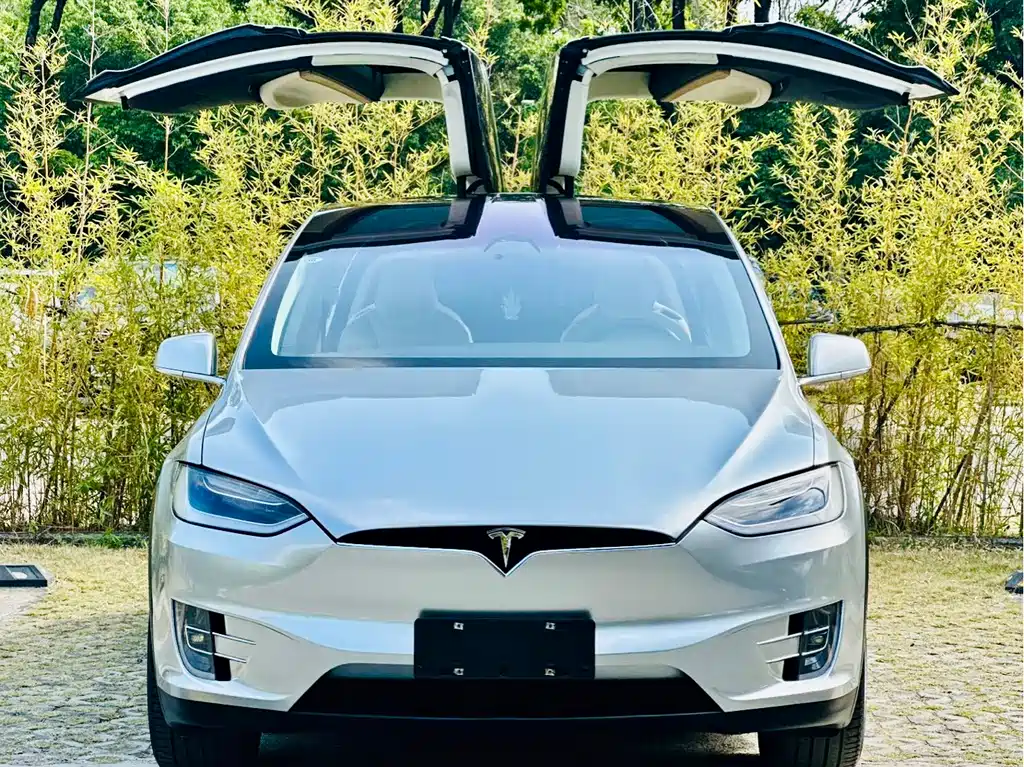 Tesla Model X 2019 — фото 2