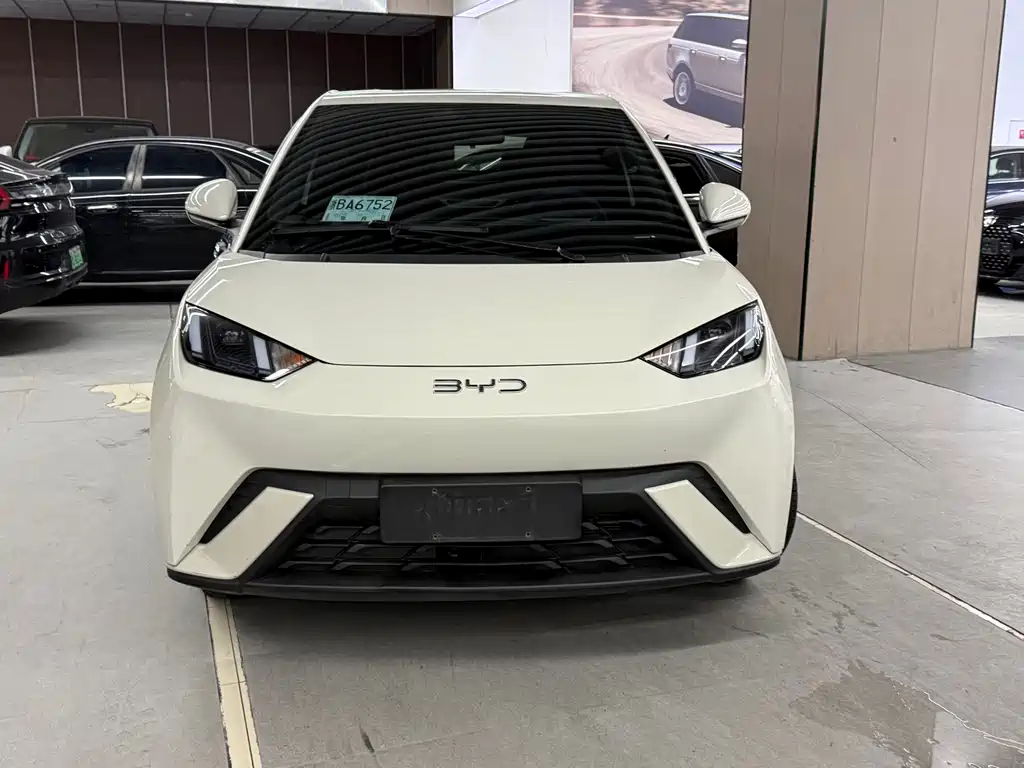 BYD Seagull 2024