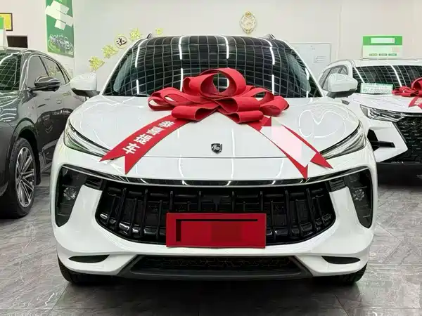 Dongfeng Fengxing T5 2023