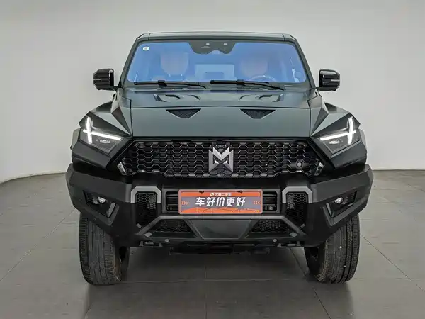 Mengshi 917 2023