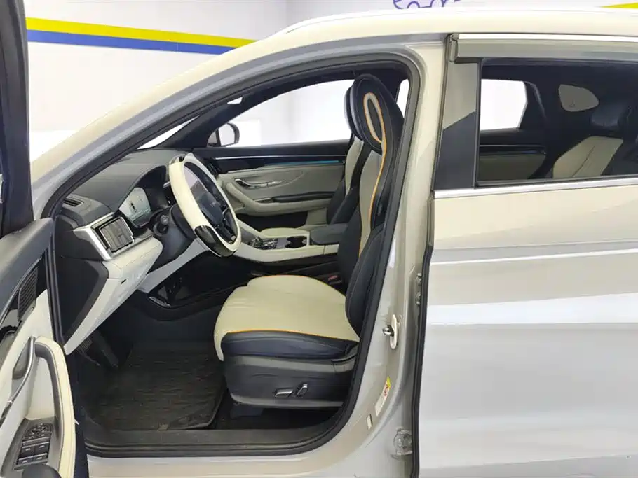BYD Song PLUS New Energy 2024 — фото 9