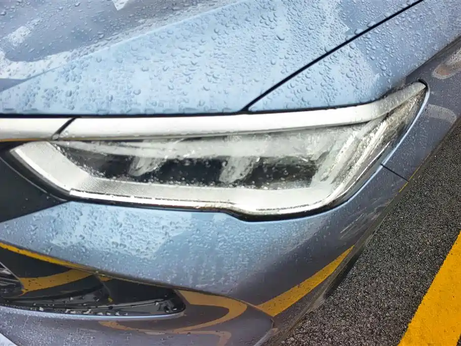 BYD Pro New Energy 2024