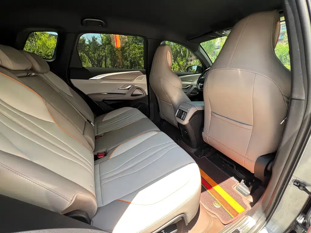 BYD Pro New Energy 2024 — фото 10