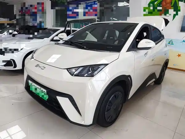 BYD Seagull 2024