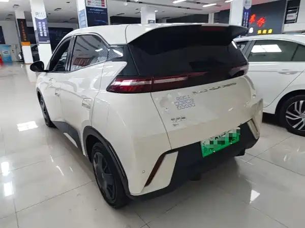 BYD Seagull 2024