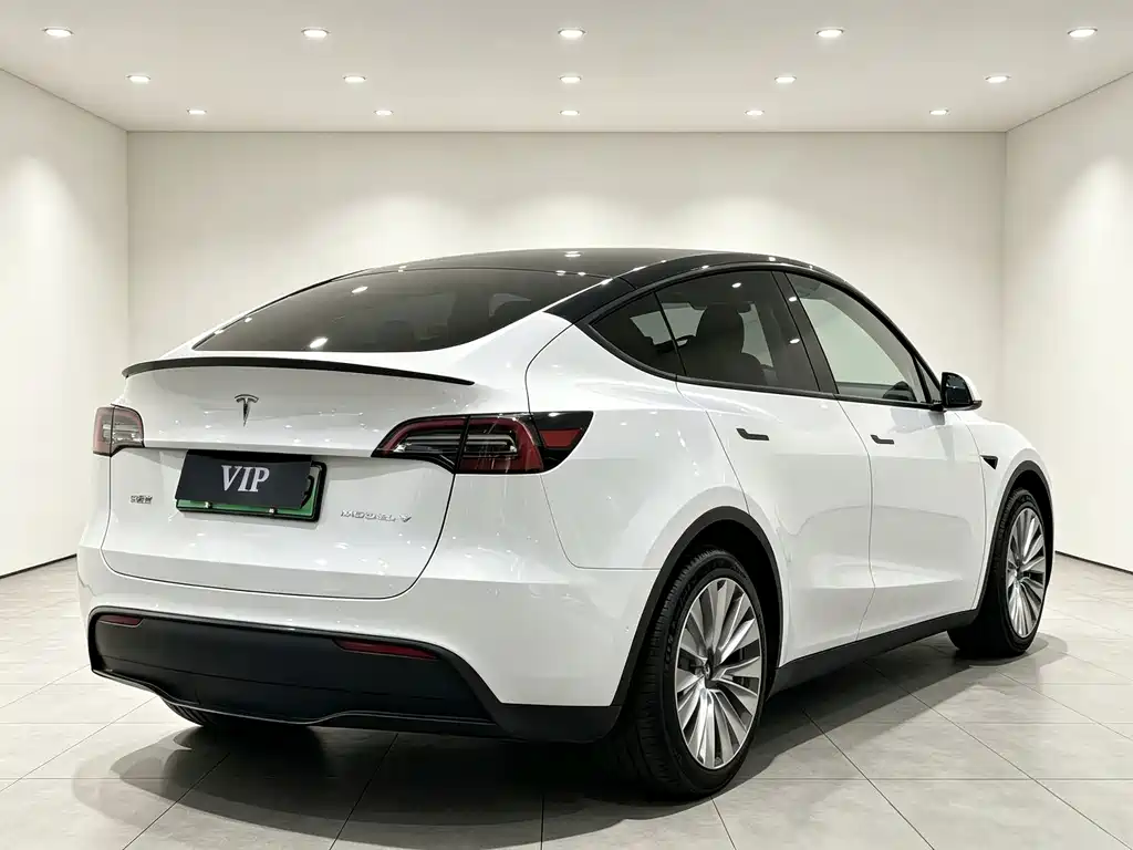 Tesla Model Y 2023 — фото 9