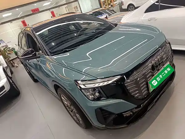Audi Q5 E-Tron 2024