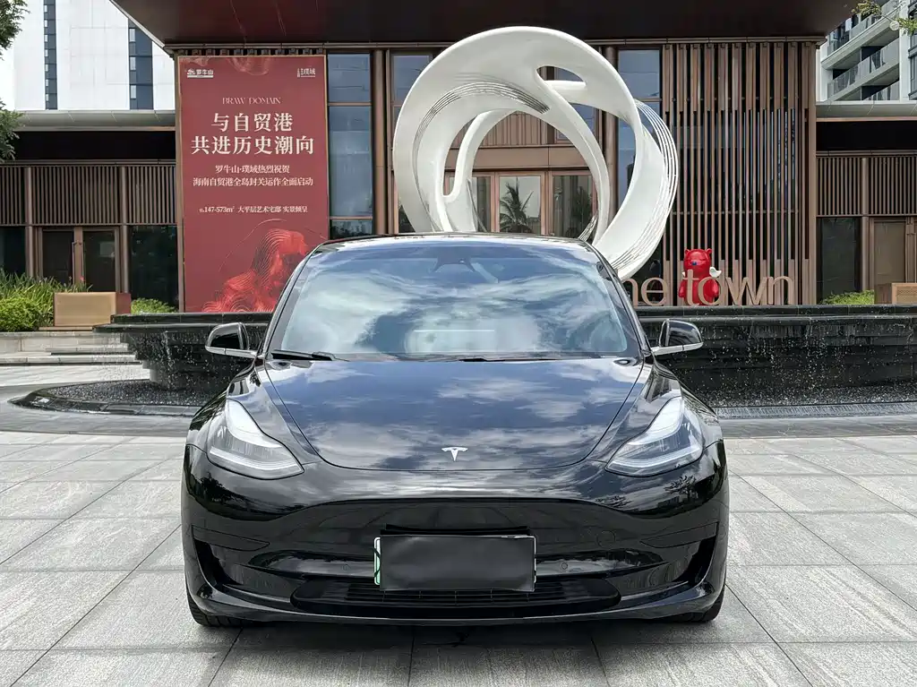 Tesla Model 3 2020 — фото 3