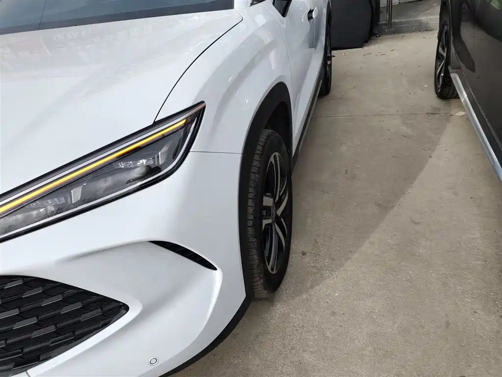 BYD L DM-i 2025 — фото 24