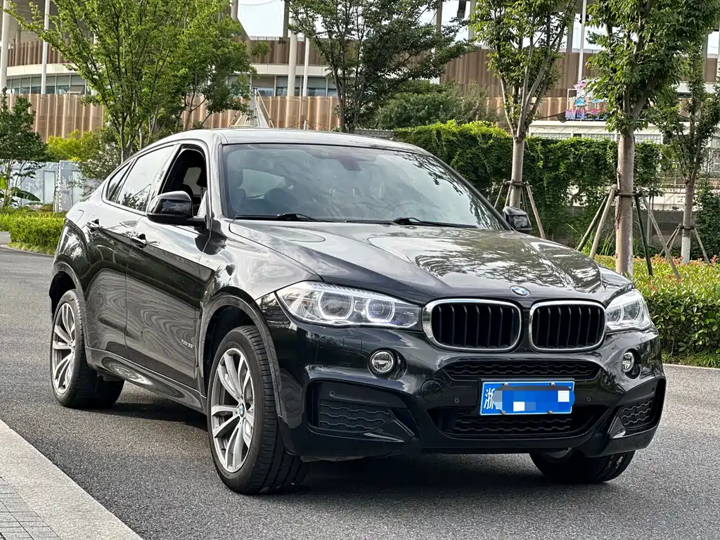 BMW X6 2019 — фото 3