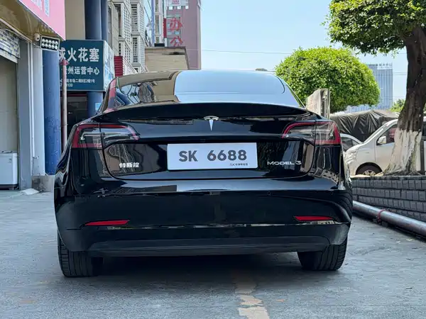 Tesla Model 3 2021