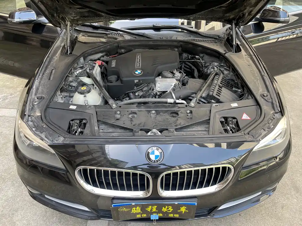 BMW 5 Series 2014 — фото 10