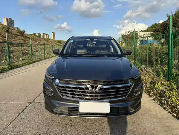 Wuling Victory 2021