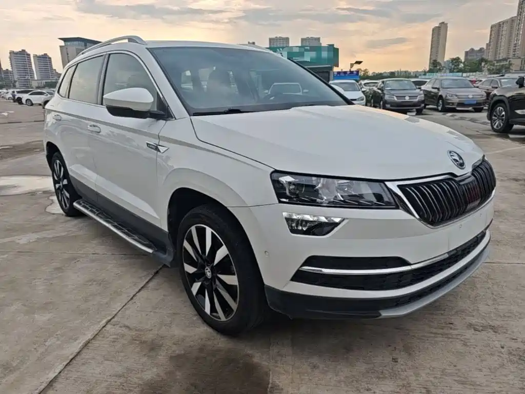 Skoda Karoq 2020 — фото 4