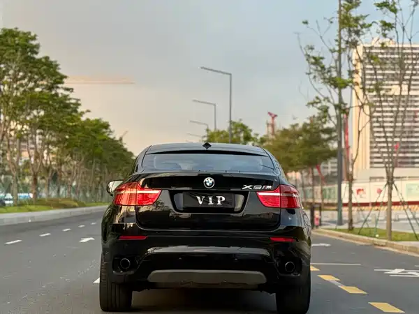 BMW X6 2009