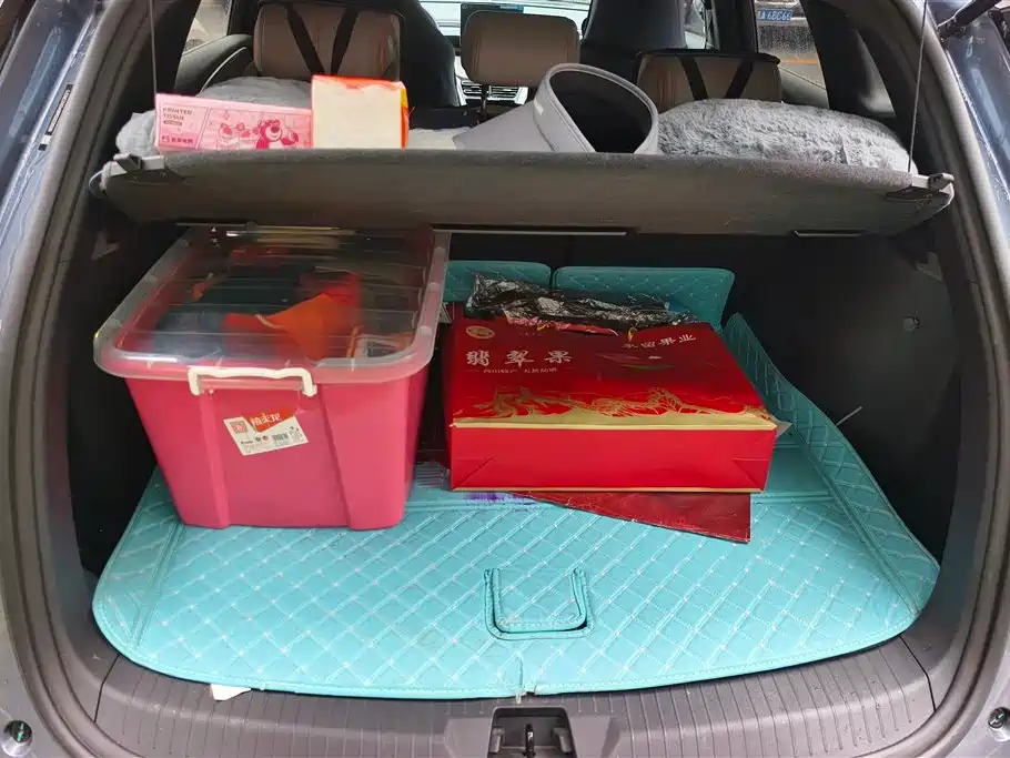BYD Pro New Energy 2024