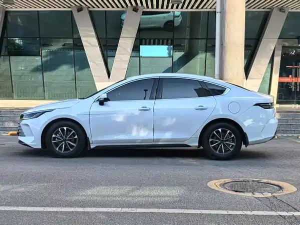 BYD Destroyer 05 2024