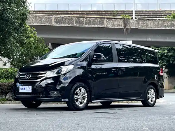 Maxus G10 2019